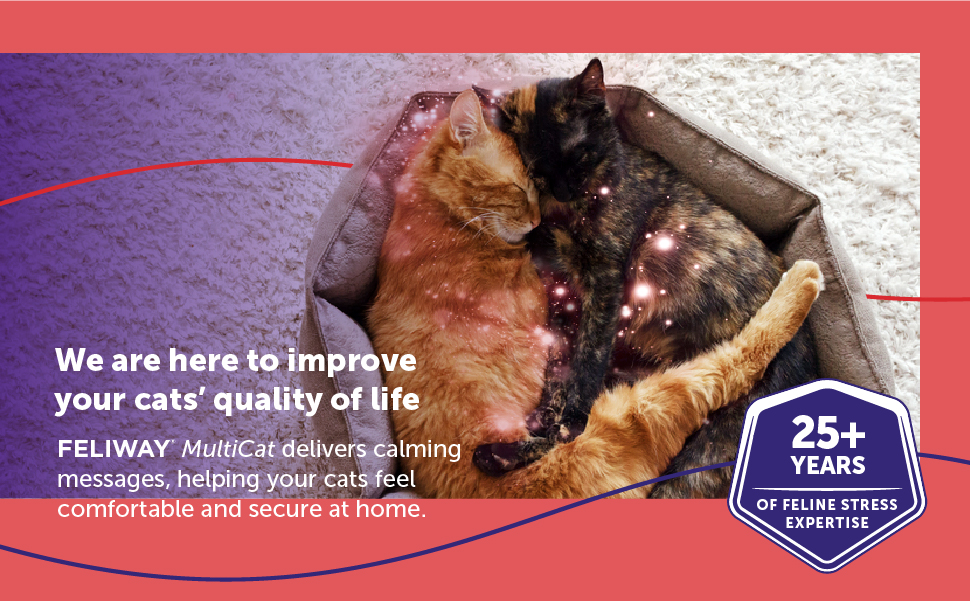 FELIWAY® MultiCat 3 x 30 Day Cat Calming Refills for Pheromone Diffuser, 3 x 48ml Value Pack- Helps Reduce Conflicts and Signs of Tension in Multi-Cat Households