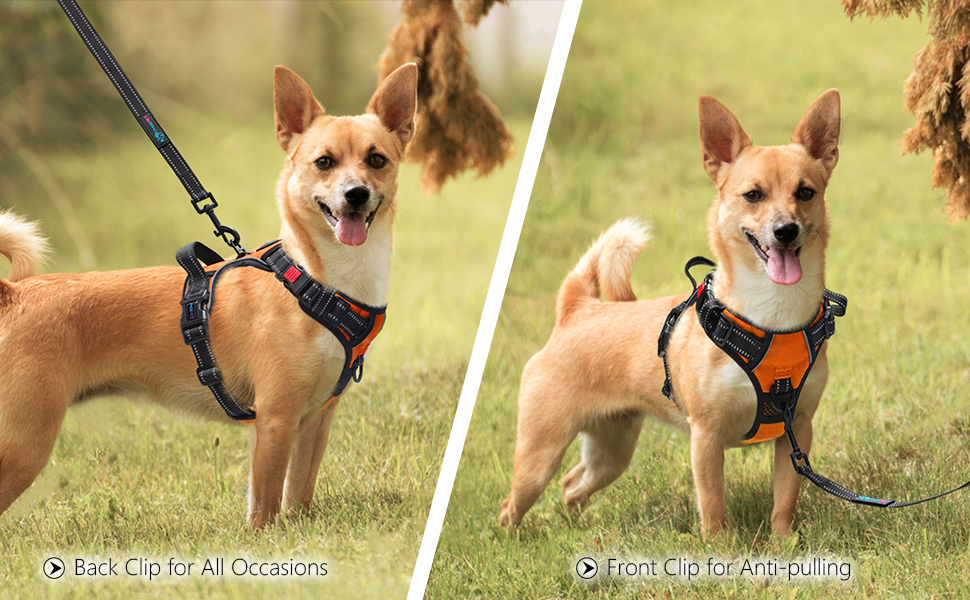PHOEPET Reflective Dog Harness Large Breed Adjustable No Pull Vest with with Handle 2 Metal Rings 3 Buckles [Easy to Put on & Take Off](L, Orange)