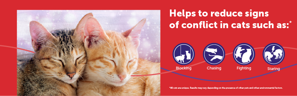 FELIWAY® MultiCat 3 x 30 Day Cat Calming Refills for Pheromone Diffuser, 3 x 48ml Value Pack- Helps Reduce Conflicts and Signs of Tension in Multi-Cat Households