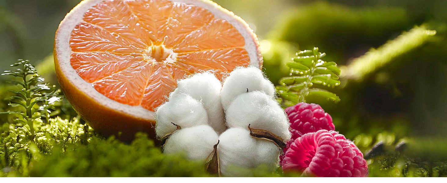 Marc Jacobs Daisy Eau So Fresh Eau de Toilette – Fresh Floral Women's Perfume – With Notes of Raspberry, Wild Rose, Grapefruit & Soft Musks