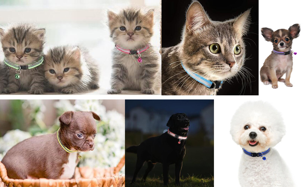 Light Blue XS Dog Collar with Bell, Reflective Cat Collars Girl Soft Adjustable Buckle for XXS XSmall Extra Small Puppy Female Male Tiny Pets Dogs Boy Kitten Yorkie X-Small