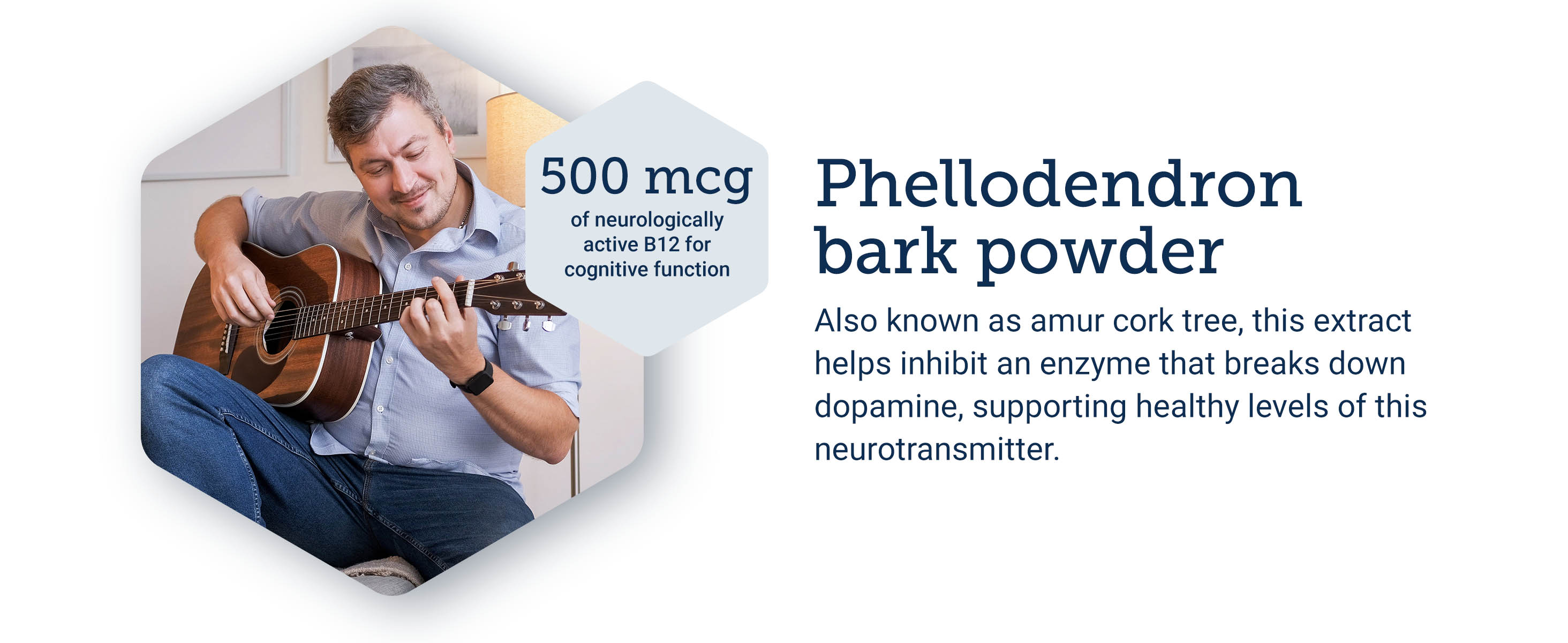 Life Extension Dopamine Advantage, Cognitive Health, Mental Sharpness, Motivation, Vitamin B12, phellodendron bark Powder, Gluten Free, Non-GMO, Vegetarian, 30 Capsules