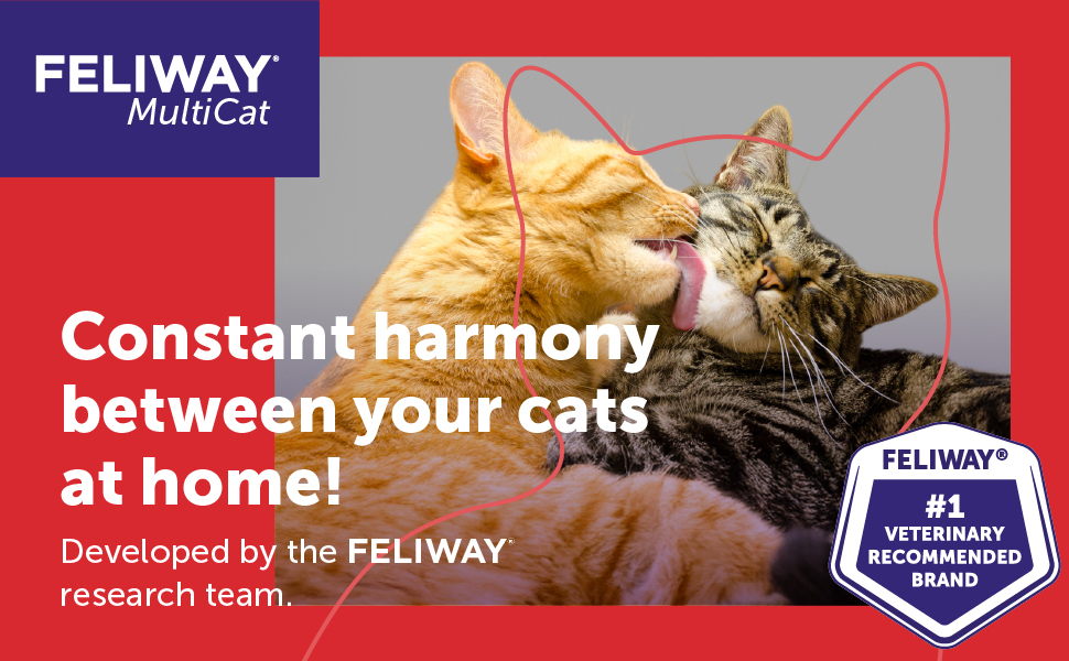 FELIWAY® MultiCat 3 x 30 Day Cat Calming Refills for Pheromone Diffuser, 3 x 48ml Value Pack- Helps Reduce Conflicts and Signs of Tension in Multi-Cat Households